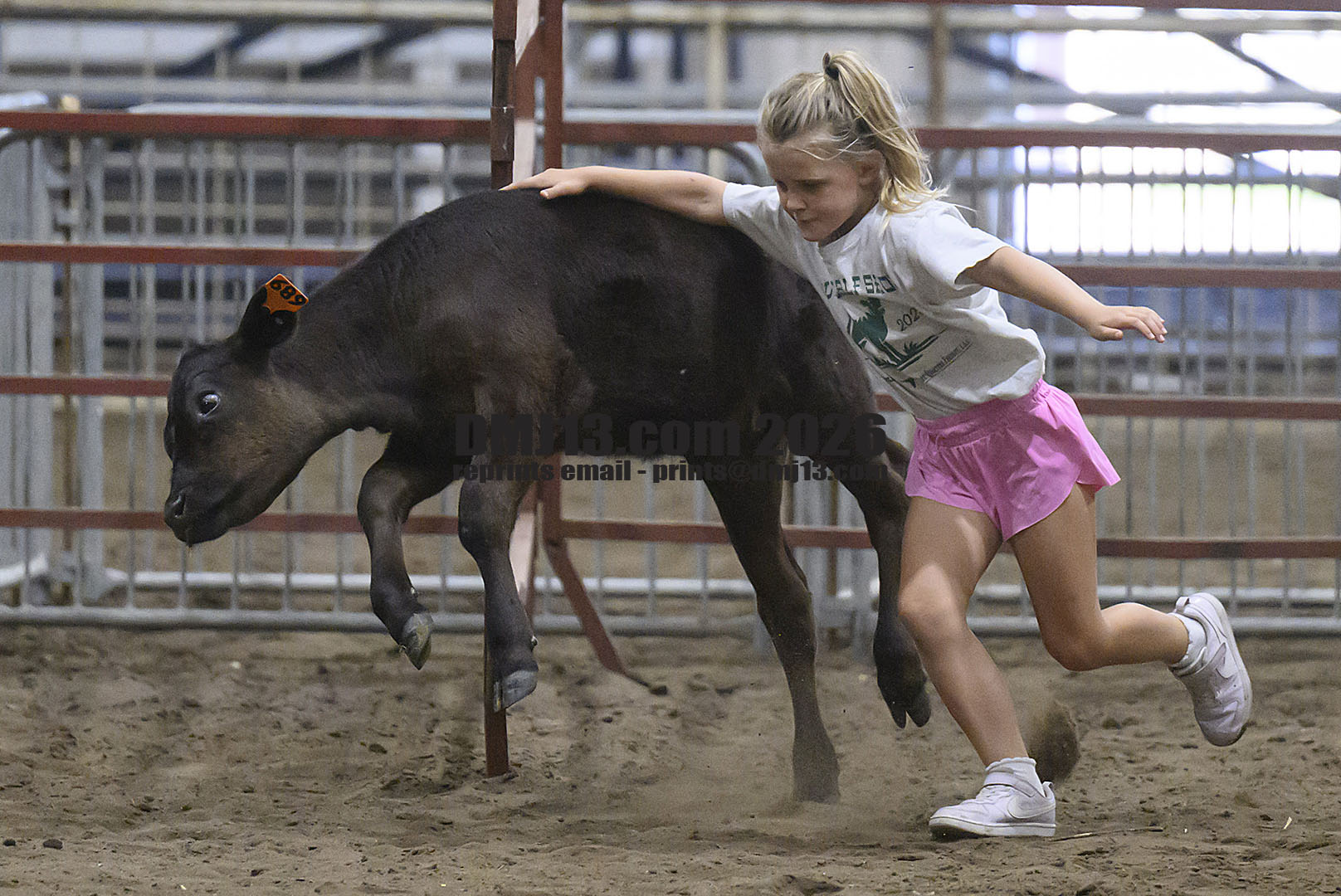 DMJ-13.com