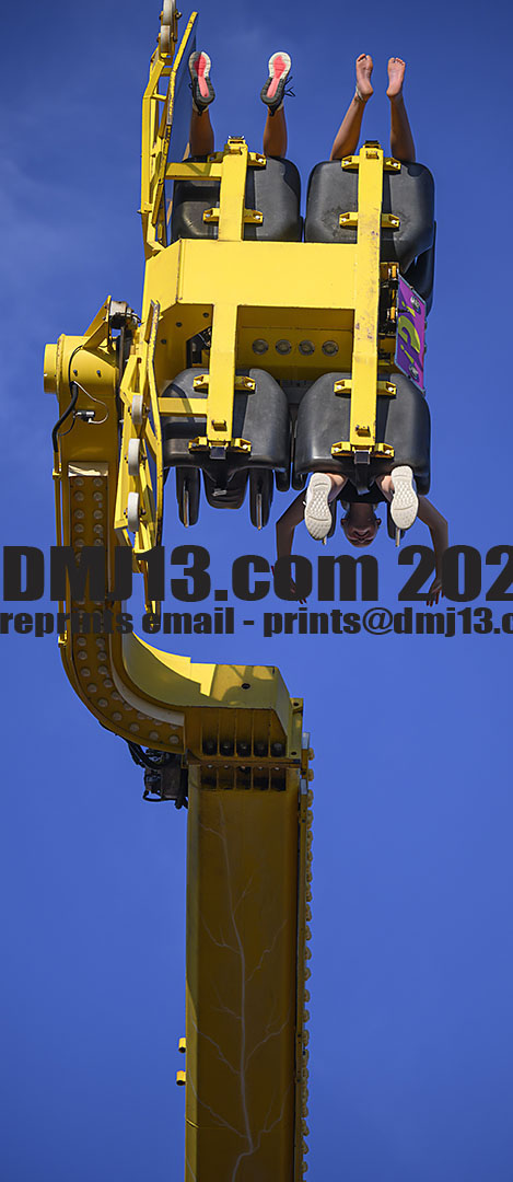DMJ-13.com